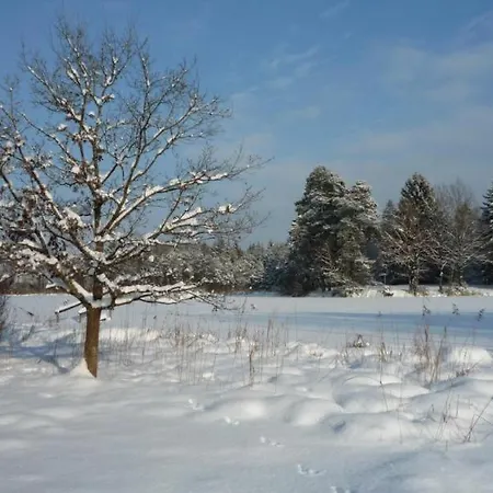 Kollmann ヴァンゲン・イム・アルゴイ