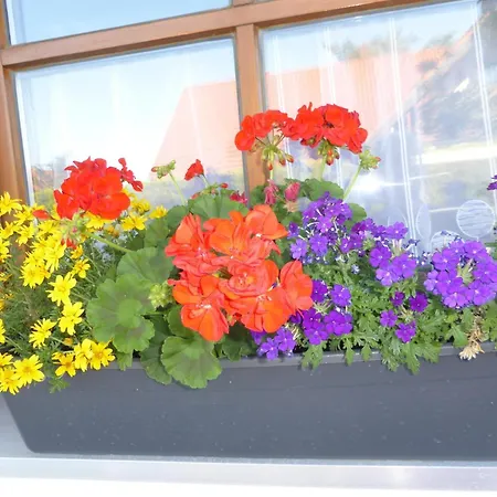 アパート Kollmann ヴァンゲン・イム・アルゴイ