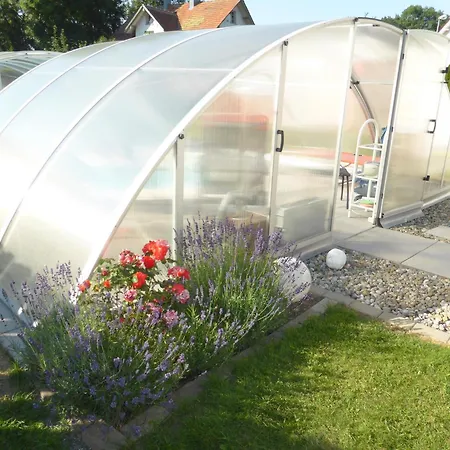 アパート Kollmann *