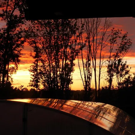 Kollmann * ヴァンゲン・イム・アルゴイ