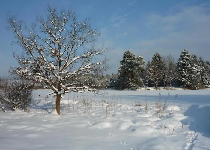 Kollmann Wangen im Allgäu