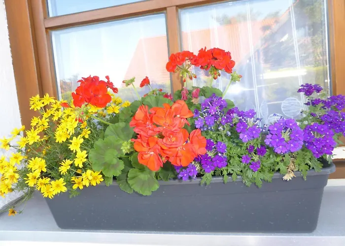 Appartement Kollmann Wangen im Allgäu