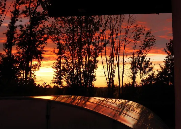 Kollmann * Wangen im Allgäu